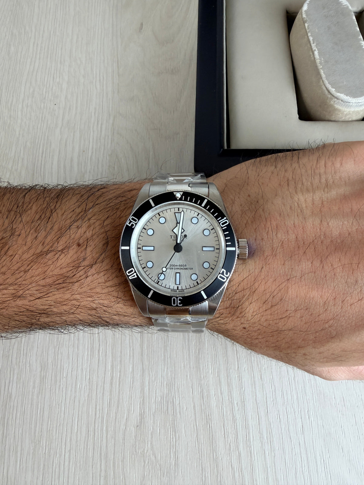 TUDOR BLACK BAY PRATA 41M